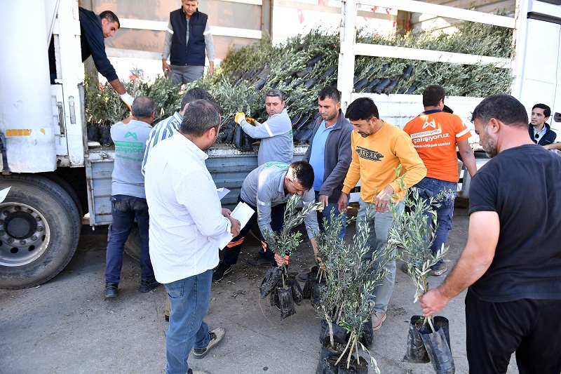 BÜYÜKŞEHİR ÜRETİCİNİN YÜZÜNÜ GÜLDÜRMEYE DEVAM EDİYOR (2)